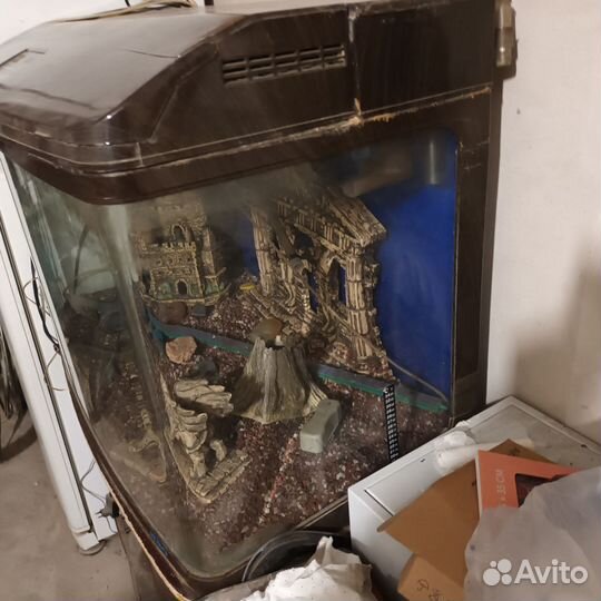 Аквариум террариум