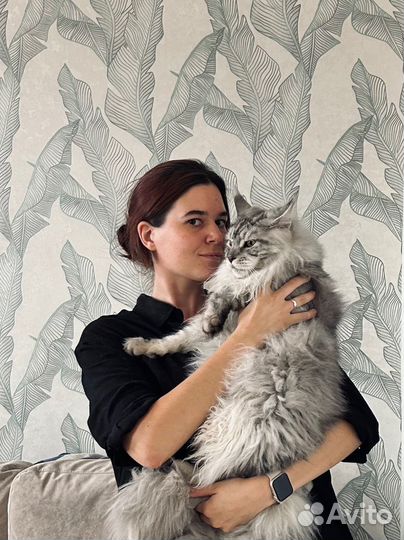 Финансовый аналитик