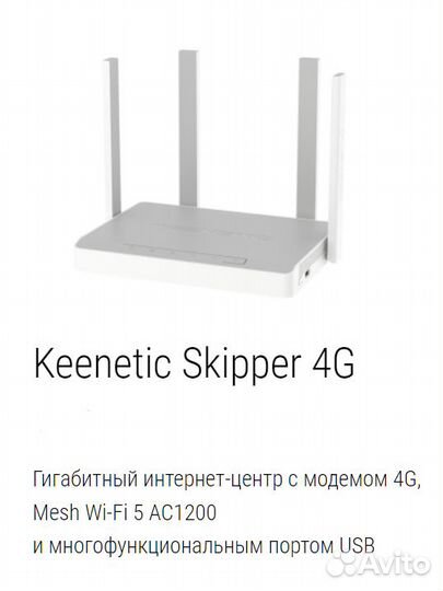 4G Роутер Keenetic Skipper 4G (KN-2910)