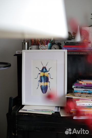 Обучение рисунку. Скетчинг