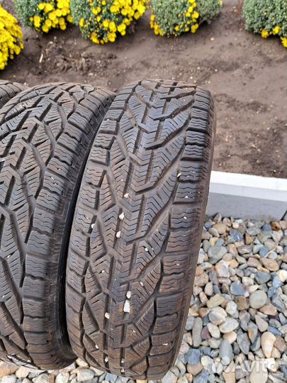 Tigar Winter 185/60 R15