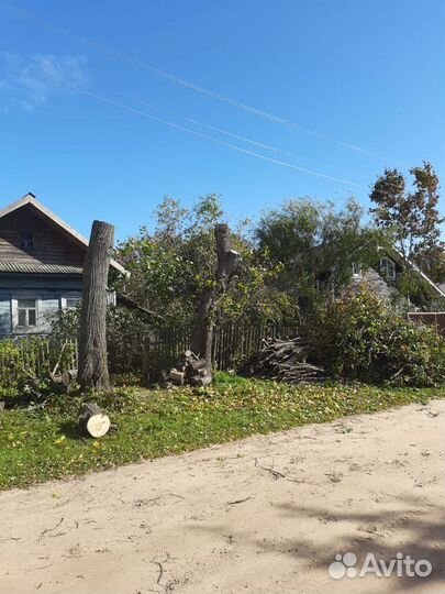 Спил деревьев