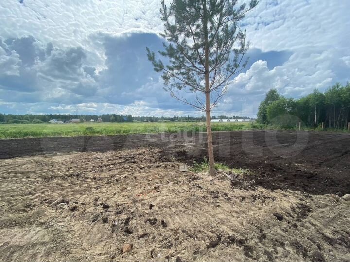 Участок 14,3 сот. (СНТ, ДНП)