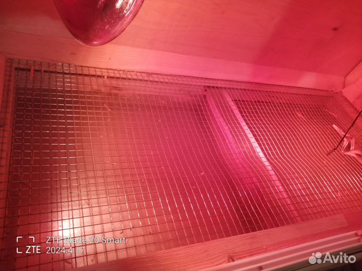 Продам брудер