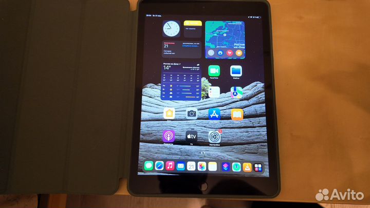 iPad