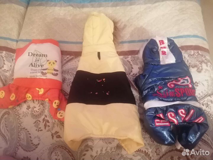 Вещи для маленьких собак