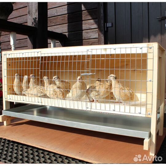 Клетка для перепелов 40 голов дерево с поддоном