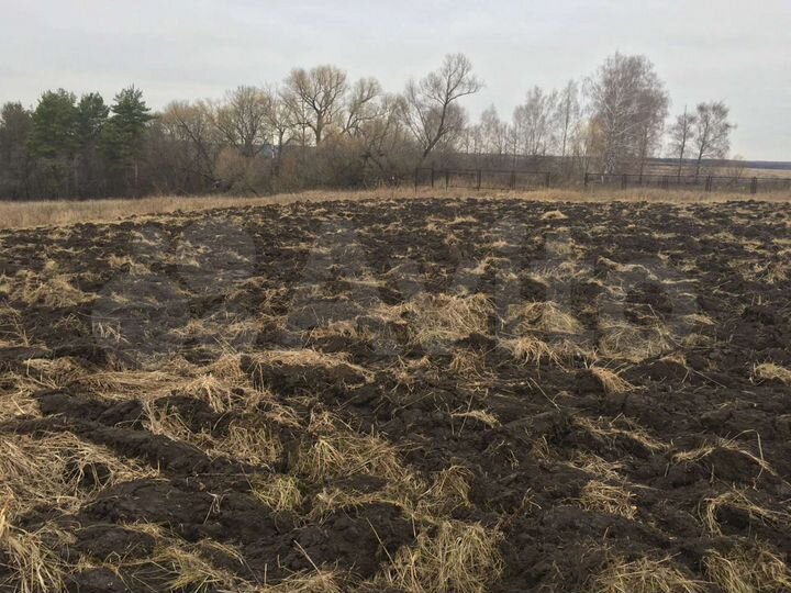 Участок 50 сот. (ИЖС)