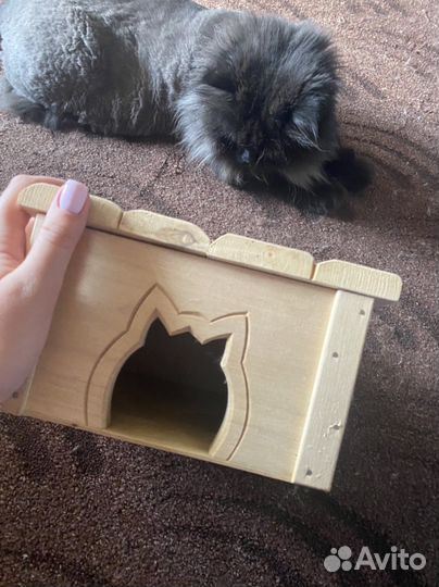 Домик для хомяка