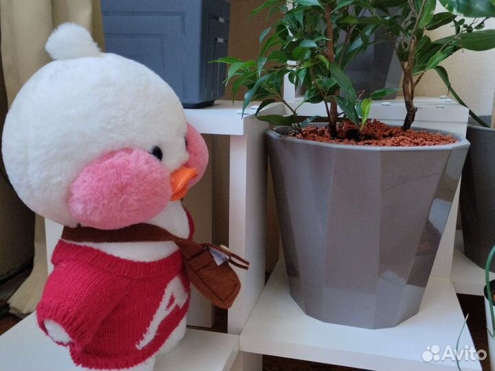 Уточка lalafanfan лалафан