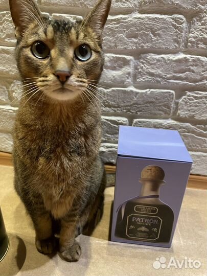 Банка металлическая сиреневая, изумрудная