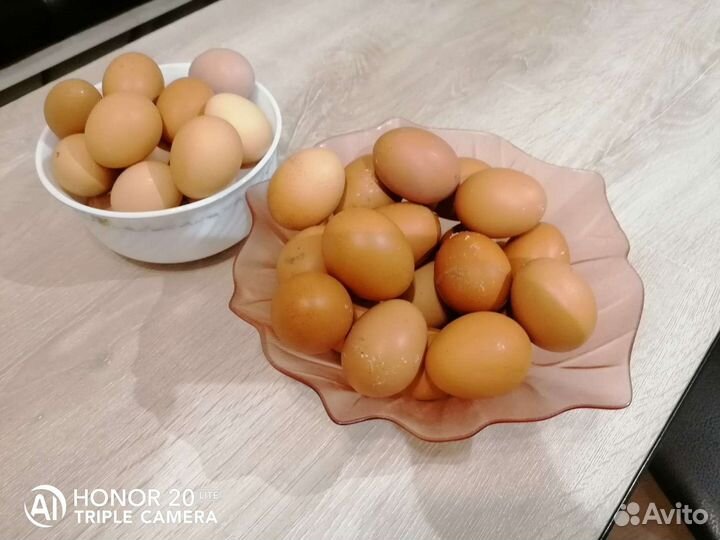 Яйцо куриное домашнее