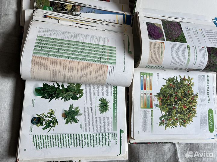 Каталоги 3 шт. Все о растениях