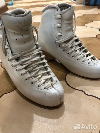 Ботинок Edea Chorus 235