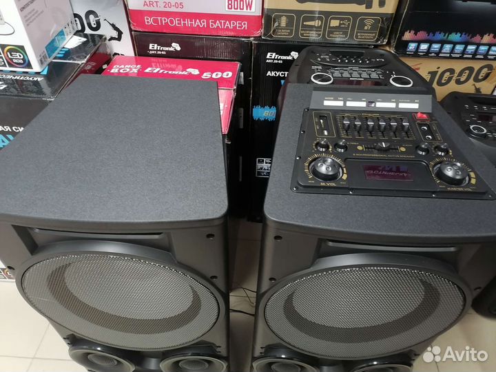 Колонки Eltronic 20-06