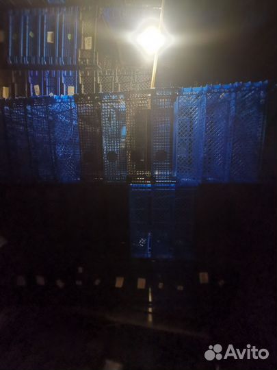 Продаю ящики пластиковые, для хранение овощей