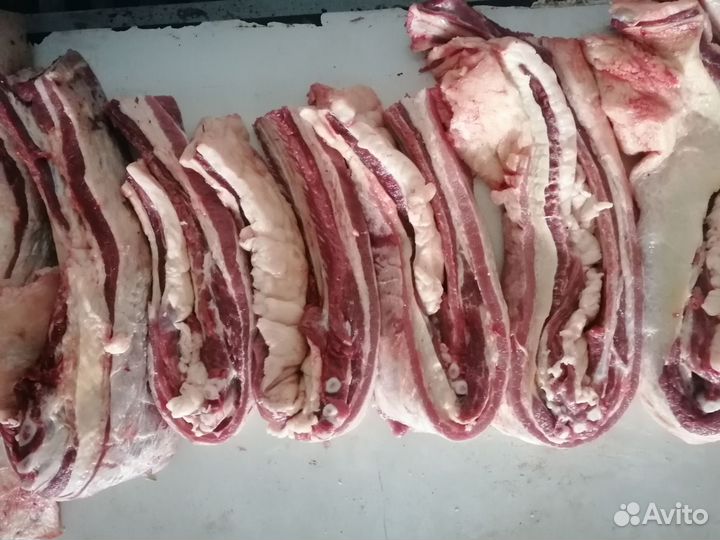 Мясо конина (от 12.11.23