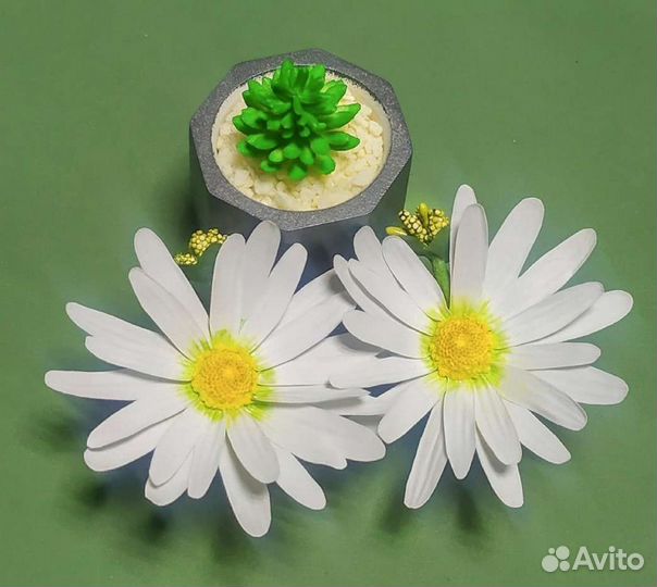 Резинки ромашки