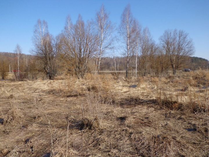 Участок 12 сот. (СНТ, ДНП)