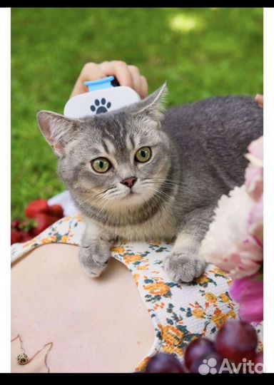 Расчески фурминатор для вычесывания собак и кошек