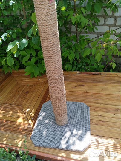 Когтеточка