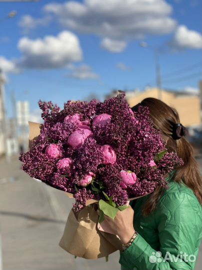 Сирень пион