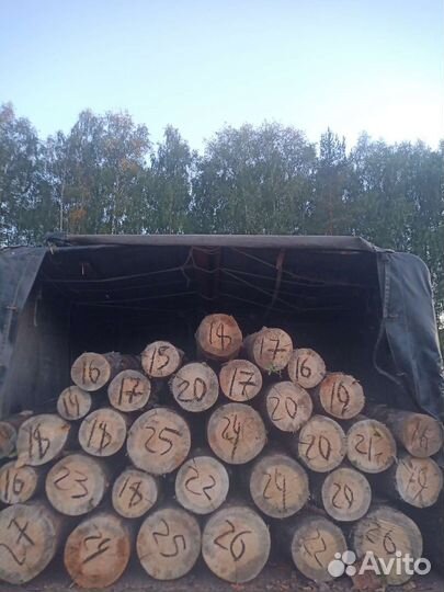 Дрова сухие с доставкой за машину