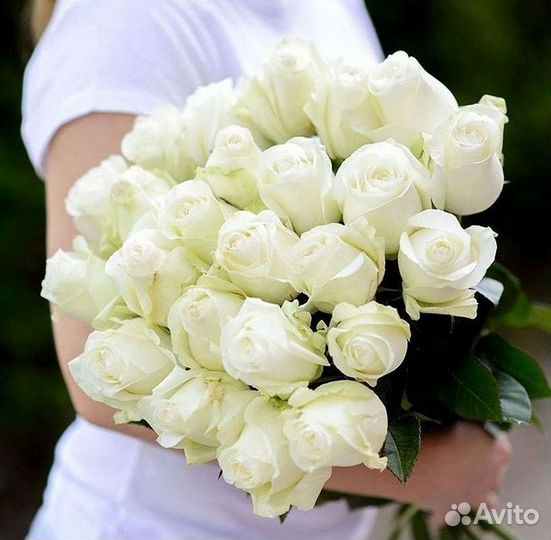 Высокие розы Гигантские розы Доставка цветов