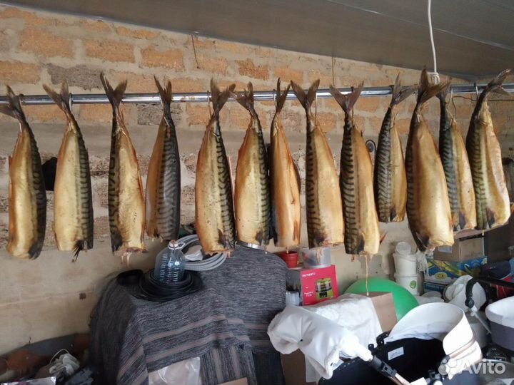 Коптильня горячего холодного копчения