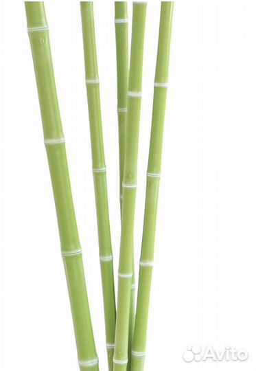 Бамбуковые палки