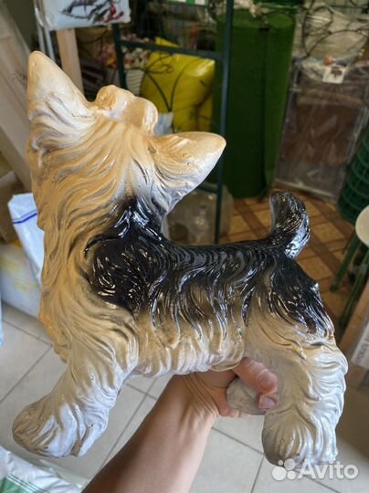 Йорк, лягушка из полистоуна