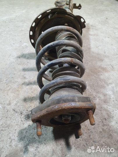 Амортизатор задний правый Lexus Rx 330 (U3) Ii