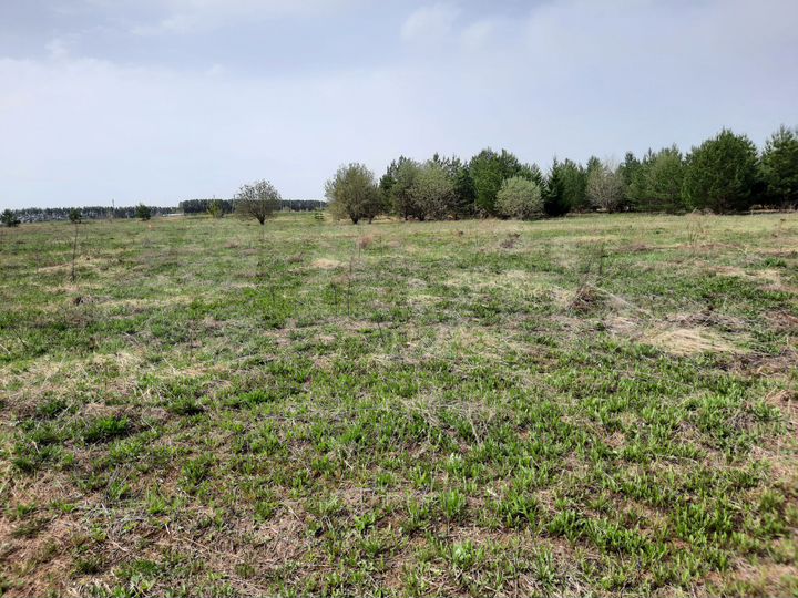 Участок 9,3 сот. (ИЖС)