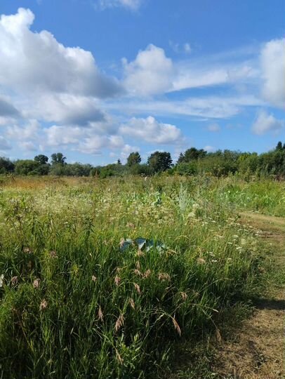 Участок 12 сот. (ИЖС)