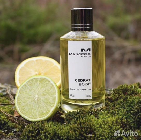 Mancera cedrat boise оригинал