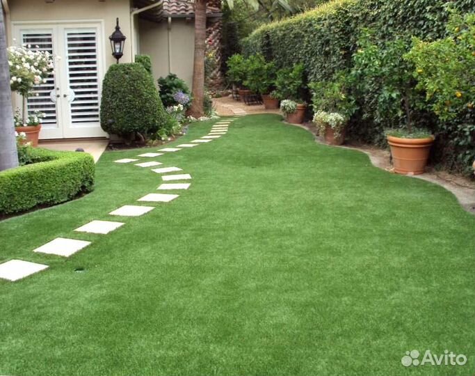 Рулонный газон, посевной газон