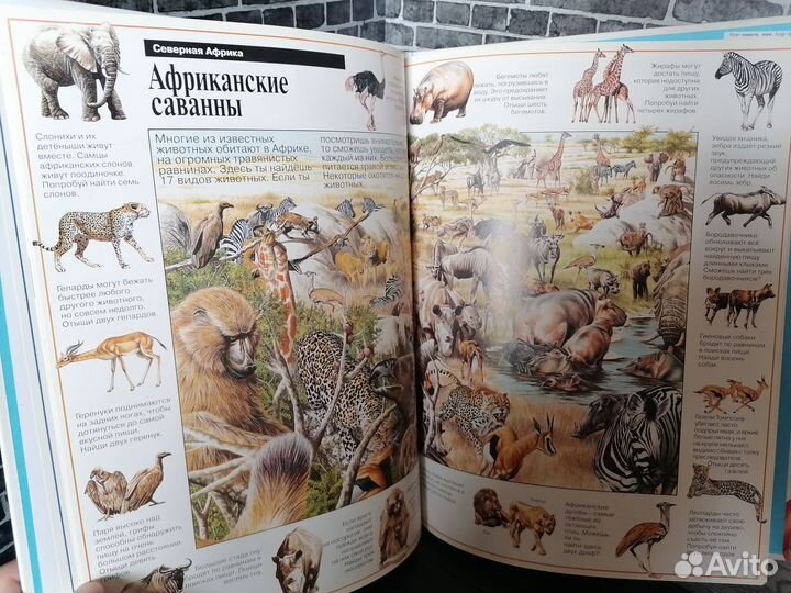 На поиски животных (Росмэн 1998 год)