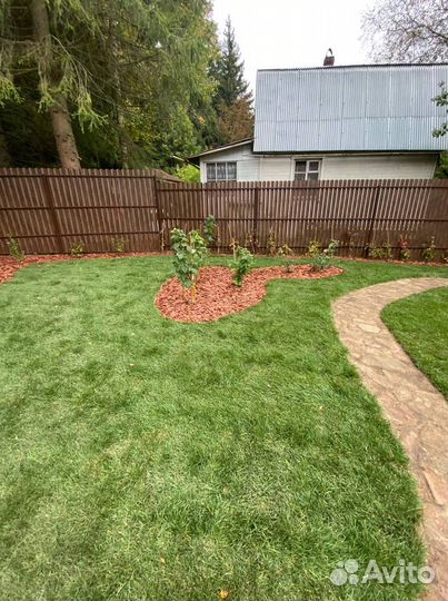 Рулонный газон