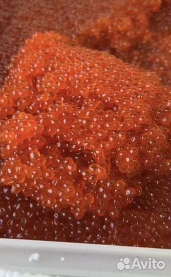 Икра красная горбуши и кеты