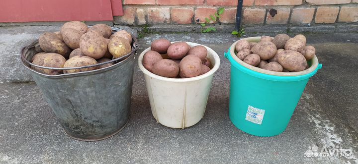 Продукты питания
