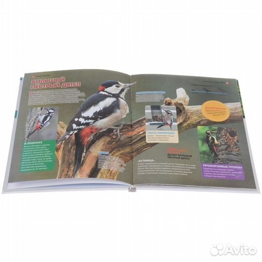 Большая детская энциклопедия 