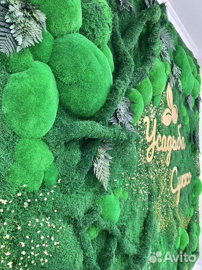 Мох стабилизированный. Вертикальное озеленение