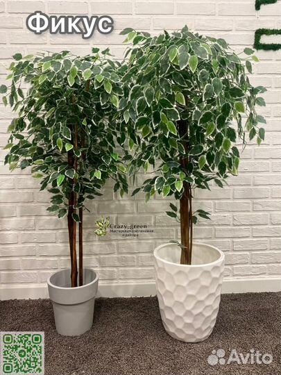 Искусственный фикус