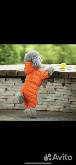 Тёплый комбинзон для собак и кошек