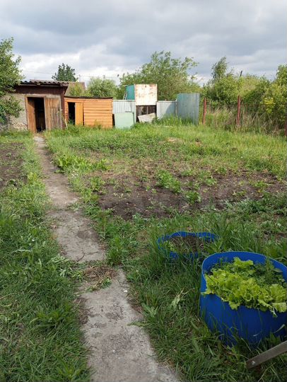 Участок 4 сот. (СНТ, ДНП)