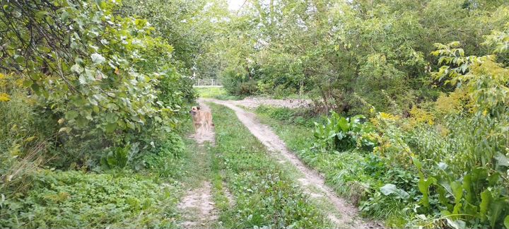 Участок 9 сот. (СНТ, ДНП)