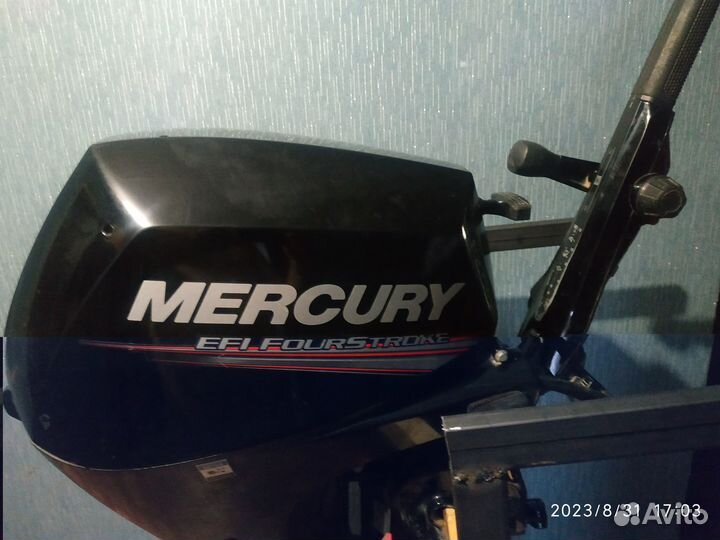Mercury 20 EFI 4 такта