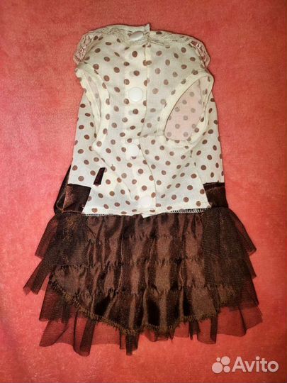 Одежда для собачки