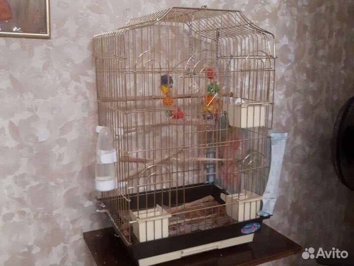 Большая клетка для птиц