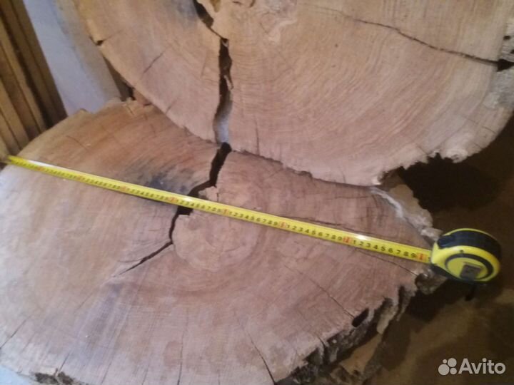 Спил дуб поперечный
